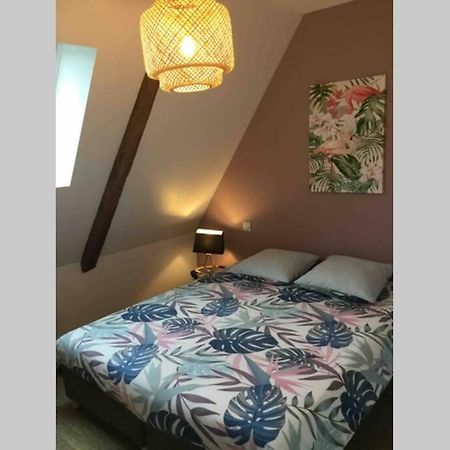 Appartement Dans Maison De 1789 Au Centre De Vitre ภายนอก รูปภาพ